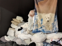 68_polar-bear-lr183807.jpg