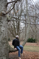 74_point-of-interest-10---sitting-branch.jpg