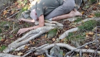 75_yellow-birch-roots.jpg